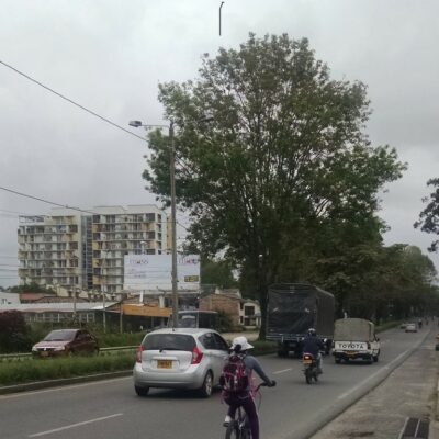 VallaViveroCampobello1a